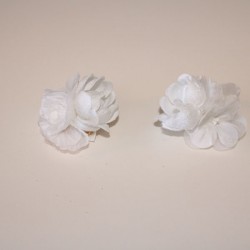 Two White Shoe Clips