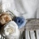 Brown silk camellia