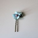 Pack of 6 daisies and paniculata: blue